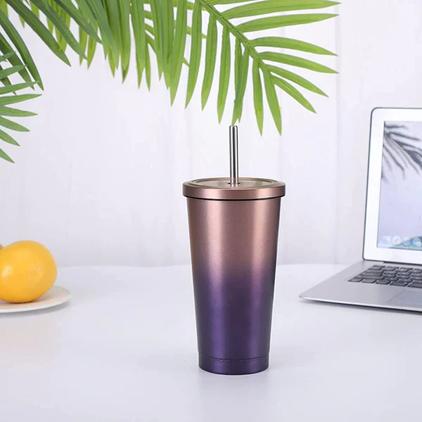 Double Wall Vacuum Insulated Tumbler with Steel Straw and Lid